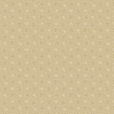Midnight Lace R220333 Beige