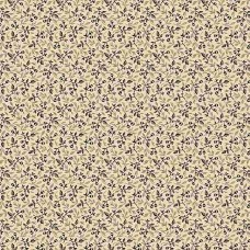 Midnight Lace R220335 Cream