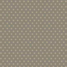 Greige Goods R310237 Grey