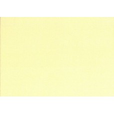 Quilter's Basic 30898-10