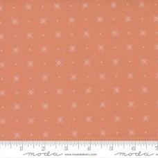 Beyond Bella 16740 147