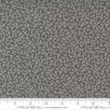 Seashore Drive 37624 22