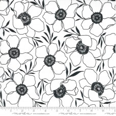 Illustrations 11502 11