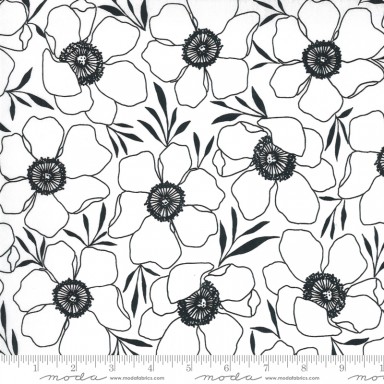 Illustrations 11502 11