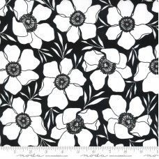 Illustrations 11502 15