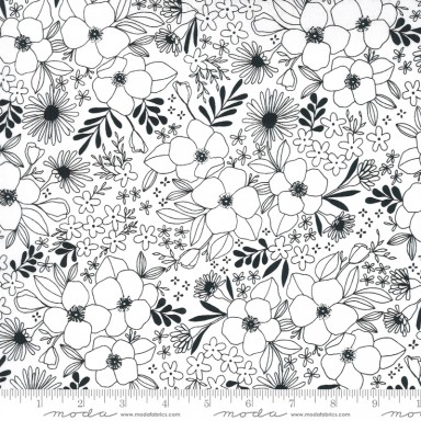 Illustrations 11503 11