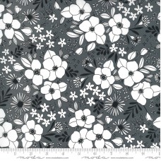 Illustrations 11503 14