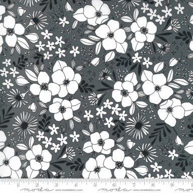 Illustrations 11503 14