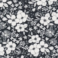 Illustrations 11503 15