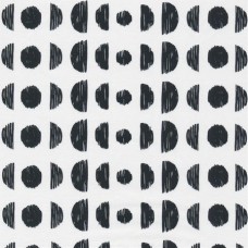 Illustrations 11504 25