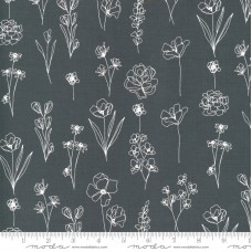 Illustrations 11505 24