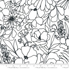 Illustrations 11507 15CV