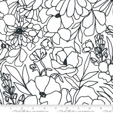 Illustrations 11507 15CV