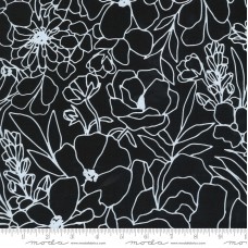 Illustrations 11507 25CV