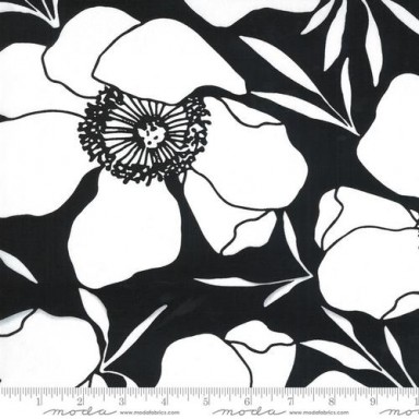 Illustrations 11508 15CV