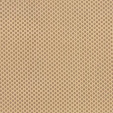 Petite Prints- 13698-13