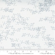 Modern BG Even More 1769 13