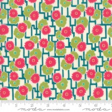 Looking Forward 18144 12