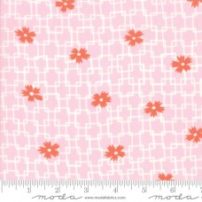 Fine and Sunny 18172 23