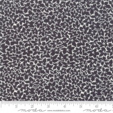 Fine and Sunny 18174 22