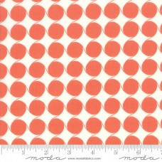 Fine and Sunny 18175 15