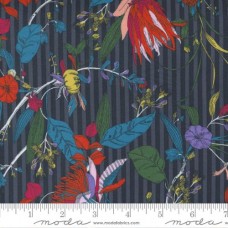 The Lookout 18210 19