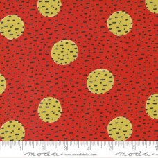 The Lookout 18212 22