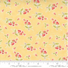 Fresh Figs Favorites 20415 12