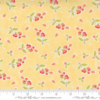 Fresh Figs Favorites 20415 12