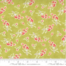 Fresh Figs Favorites 20415 15