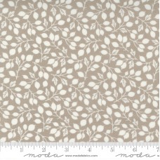 Pumpkins Blossoms 20421 16