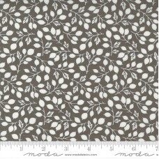 Pumpkins Blossoms 20421 17