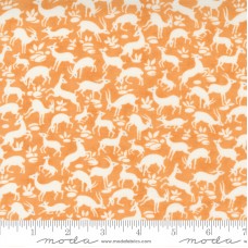 Pumpkins Blossoms 20422 12