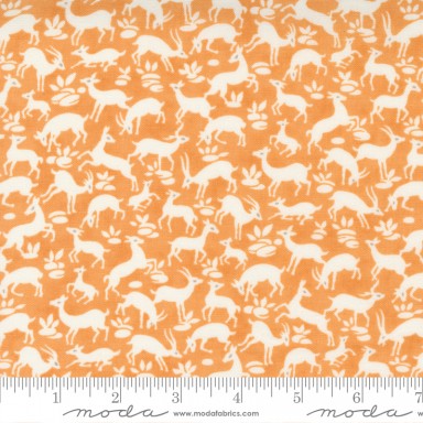 Pumpkins Blossoms 20422 12