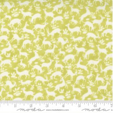 Pumpkins Blossoms 20422 12