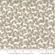 Pumpkins Blossoms 20422 16