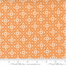 Pumpkins Blossoms 20423 12