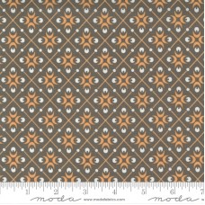 Pumpkins Blossoms 20423 17