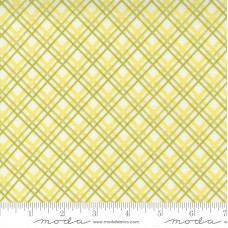 Pumpkins Blossoms 20424 24