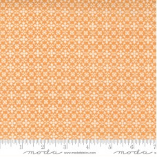 Pumpkins Blossoms 20426 12