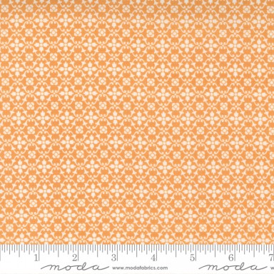 Pumpkins Blossoms 20426 12