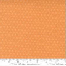 Pumpkins Blossoms 20428 12