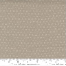 Pumpkins Blossoms 20428 16