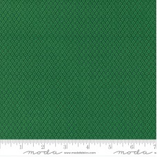 Jungle Paradise 20788 22