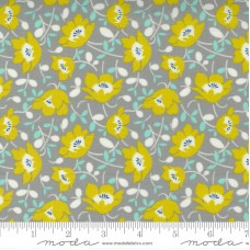 Morning Light 23341 12