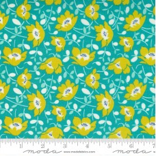 Morning Light 23341 14