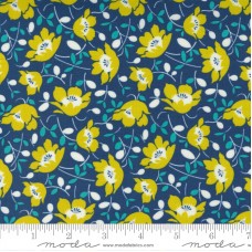 Morning Light 23341 15