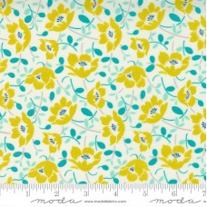 Morning Light 23341 21