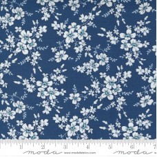 Morning Light 23342 15