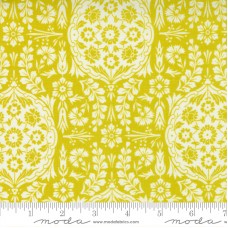 Morning Light 23343 16